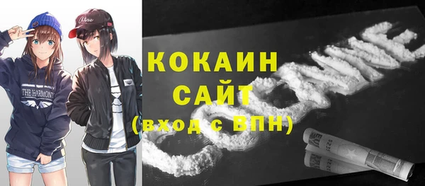 гидра Пересвет