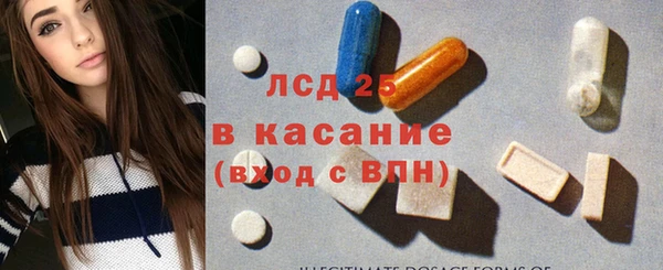 гидра Пересвет