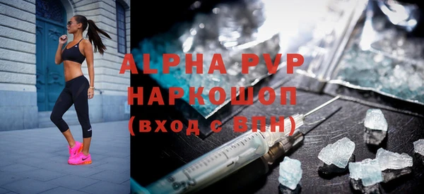 гидра Пересвет